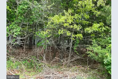 742 Route 9, Little Egg Harbor, NJ 08087 - Photo 3