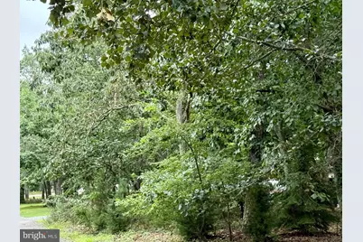 0 Maplewood, Little Egg Harbor, NJ 08087 - Photo 7