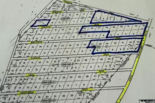 0 Maplewood, Little Egg Harbor, NJ 08087 - Photo 1