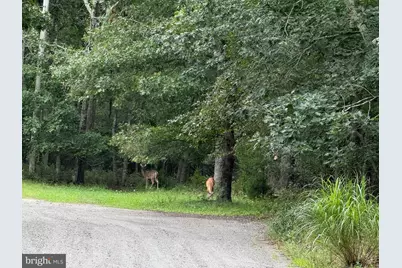 0 Maplewood, Little Egg Harbor, NJ 08087 - Photo 3