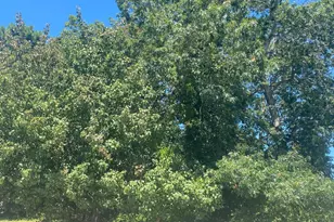 2014 Breakers Dr, Barnegat, NJ 08005 - Photo 1