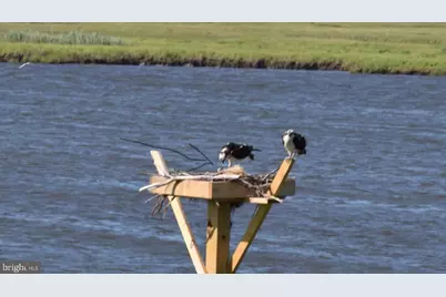 202 S Creek Drive, West Creek, NJ 08092 - Photo 43