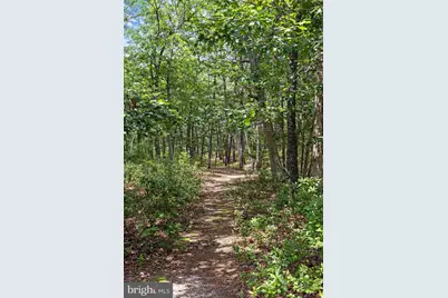 37 Fir Road, Manahawkin, NJ 08050 - Photo 39