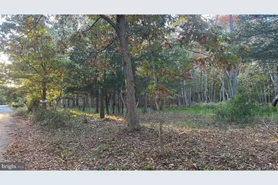 1076 S Main Street, West Creek, NJ 08092 - Photo 3