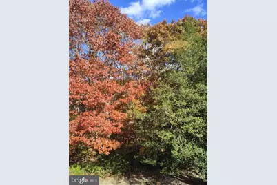 16 Tavistock #16, Little Egg Harbor, NJ 08087 - Photo 21