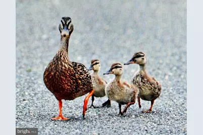 54 Beach Avenue, Bayville, NJ 08721 - Photo 7