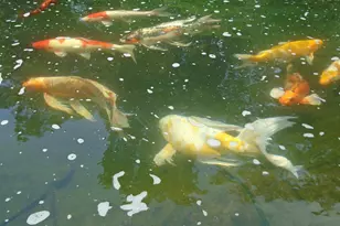 22 Nugentown Rd, Tuckerton, NJ 08087 - Photo 37