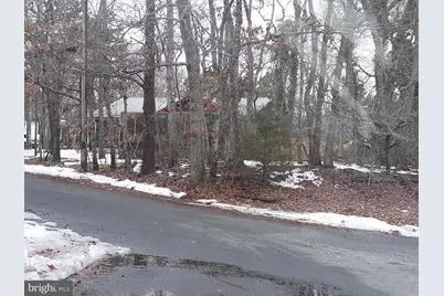 3 Demaret Court, Little Egg Harbor, NJ 08087 - Photo 1