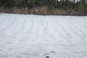 10 Cedar Ave, Manahawkin, NJ 08050 - Photo 25