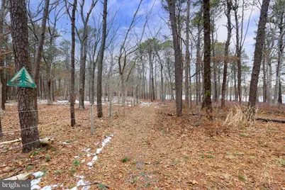 497 Main Street, West Creek, NJ 08092 - Photo 31