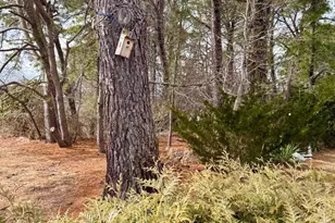 3 Woodstock Dr, Toms River, NJ 08757 - Photo 9