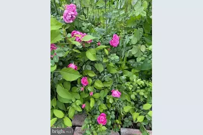 130 Otis Avenue, Tuckerton, NJ 08087 - Photo 39