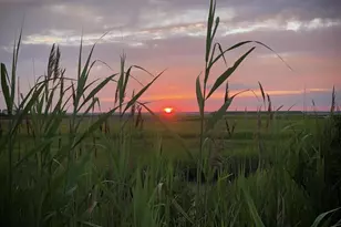 102 Jeanne Dr, Manahawkin, NJ 08050 - Photo 31