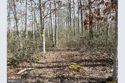 0 Cedar Bridge Rd, Barnegat, NJ 08005 - Photo 9