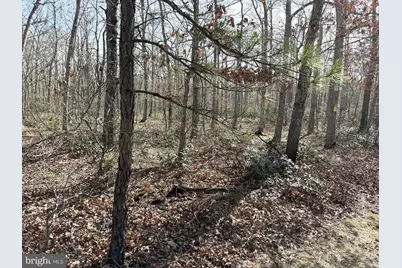 0 Cedar Bridge Rd, Barnegat, NJ 08005 - Photo 3