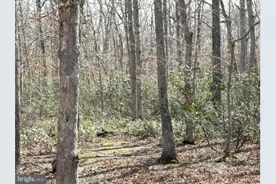 0 Cedar Bridge Rd, Barnegat, NJ 08005 - Photo 7