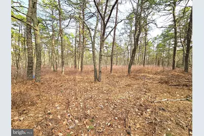 0 Birchwood, Tuckerton, NJ 08087 - Photo 1