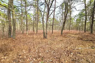 0 Birchwood, Tuckerton, NJ 08087 - Photo 1