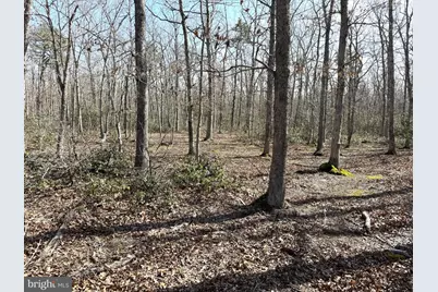 0 Birchwood, Tuckerton, NJ 08087 - Photo 1