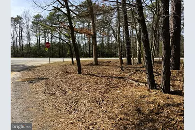 3 Pinewood Drive, Little Egg Harbor, NJ 08087 - Photo 1
