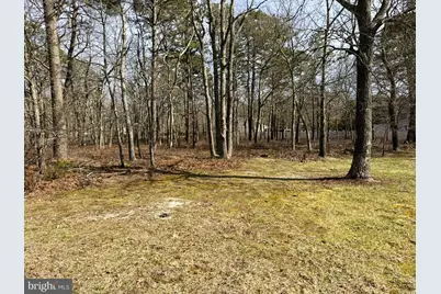 16 Pinewood Drive, Little Egg Harbor, NJ 08087 - Photo 1