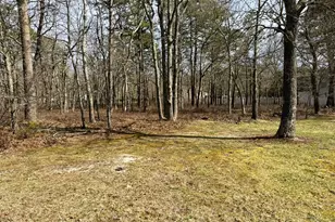 16 Pinewood Dr, Little Egg Harbor, NJ 08087 - Photo 1