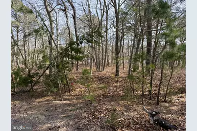 16 Pinewood Drive, Little Egg Harbor, NJ 08087 - Photo 3