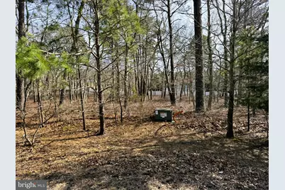 17 Pinewood Drive, Little Egg Harbor, NJ 08087 - Photo 3