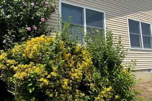 55 Sycamore Rd, Manahawkin, NJ 08050 - Photo 3