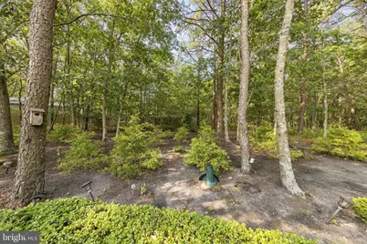 256 Newport Way, Little Egg Harbor, NJ 08087 - Photo 49