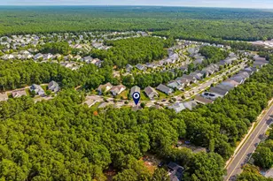 256 Newport Way, Little Egg Harbor, NJ 08087 - Photo 51