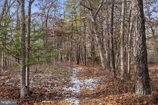 2 Acorn Rd, Manahawkin, NJ 08050 - Photo 23