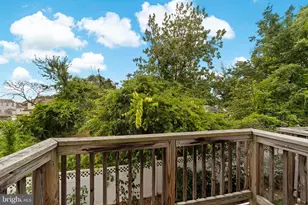 20 Alfred Ave, Franklin Township, NJ 08873 - Photo 25