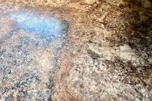 402 Windsor Ct, Hillsborough Township, NJ 08844 - Photo 13