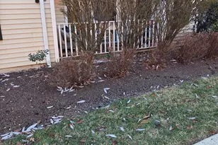 1625 King Ct, Green Brook Township, NJ 08812 - Photo 27