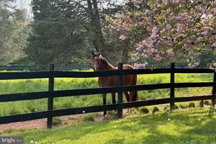 1015 Cherry Hill Rd, Princeton, NJ 08540 - Photo 7