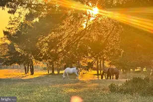 1015 Cherry Hill Rd, Princeton, NJ 08540 - Photo 35