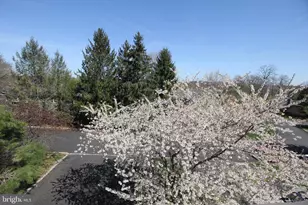 37F Melrose Rd, Montgomery Township, NJ 08540 - Photo 25