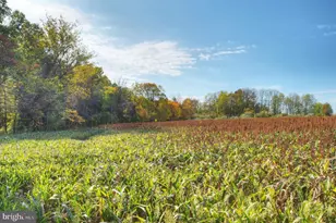 0 Mountain View, Montgomery Township, NJ 08558 - Photo 1