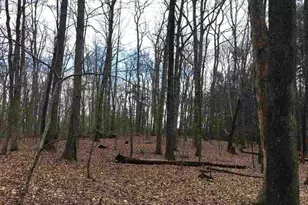 503 Garden Ln Ln, Palmyra, VA 22963 - Photo 5