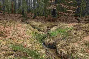 503 Garden Ln Ln, Palmyra, VA 22963 - Photo 7