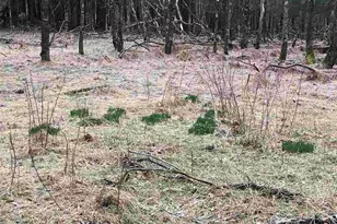 503 Garden Ln Ln, Palmyra, VA 22963 - Photo 11