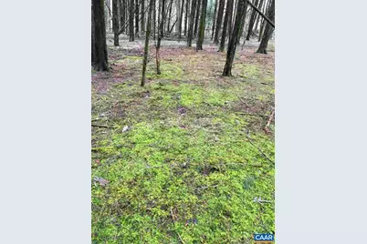 503 Garden Ln Lane, Palmyra, VA 22963 - Photo 3