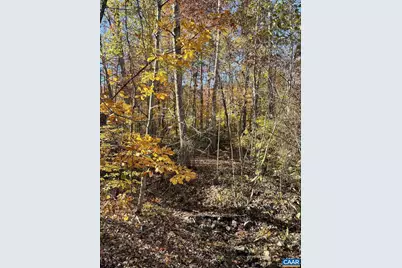 20 Chippewa Ln, Palmyra, VA 22963 - Photo 3