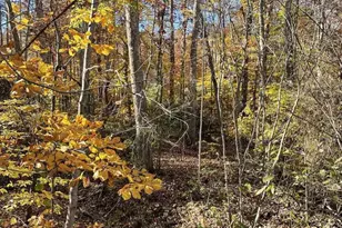 20 Chippewa Ln, Palmyra, VA 22963 - Photo 3