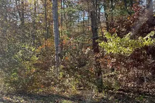 20 Chippewa Ln, Palmyra, VA 22963 - Photo 1