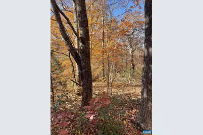 19 Chickasaw Pl, Palmyra, VA 22963 - Photo 3