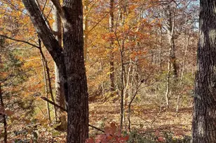 19 Chickasaw Pl, Palmyra, VA 22963 - Photo 3