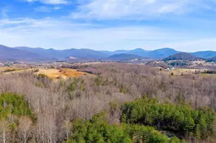 13 Bartholomew Pl, Stanardsville, VA 22973 - Photo 9