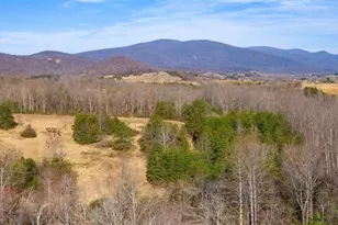 13 Bartholomew Pl, Stanardsville, VA 22973 - Photo 7